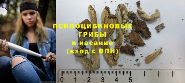 трава Магас